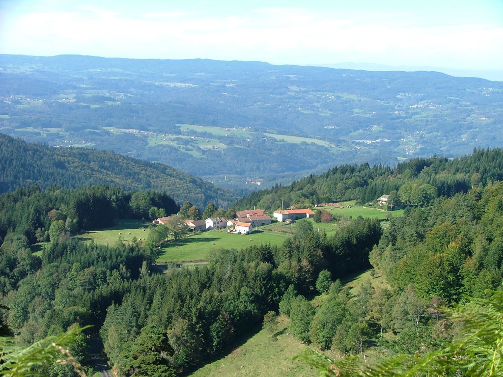 Trail du Haut-Forez (THF)